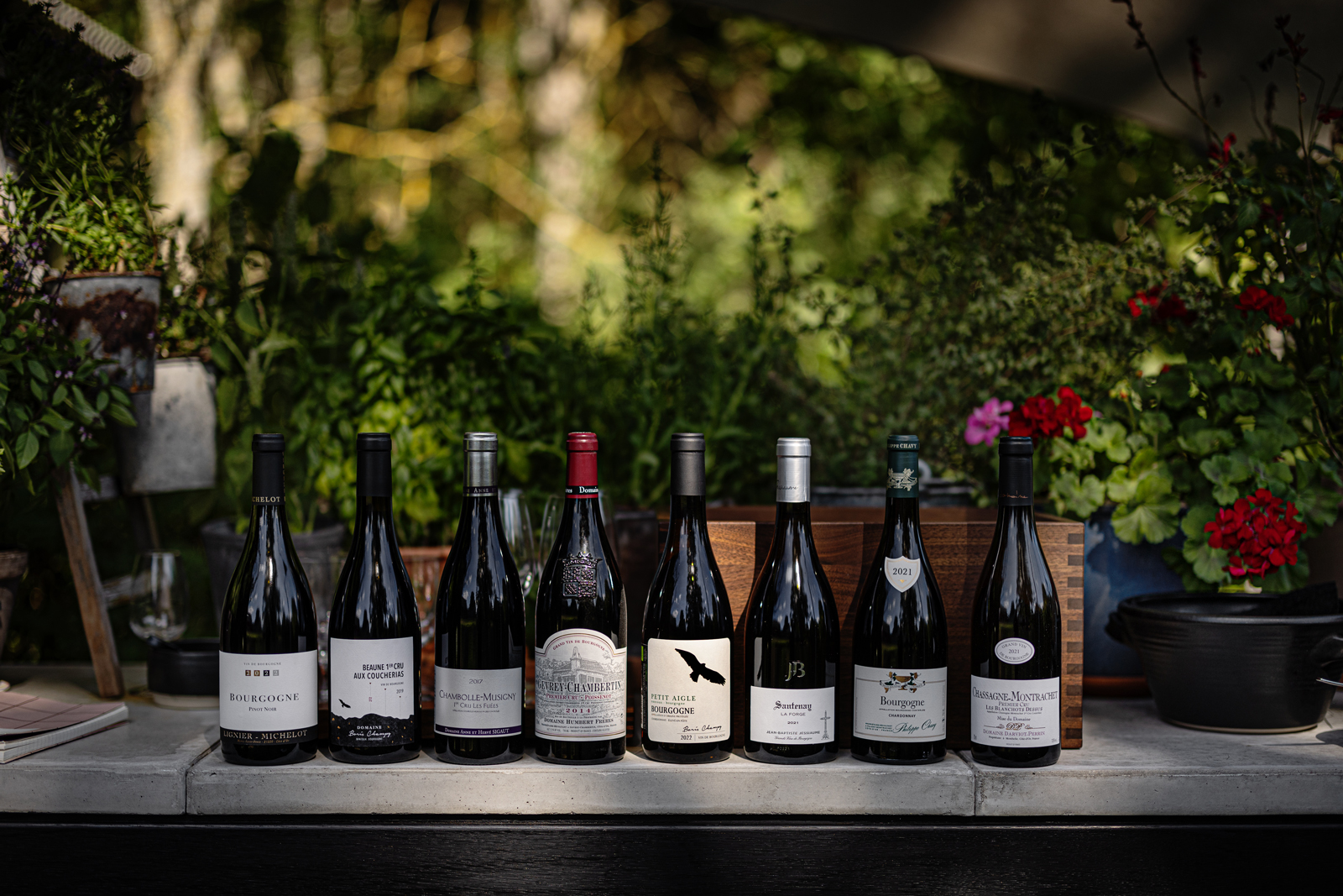 Vinflaskor på rad utomhus.