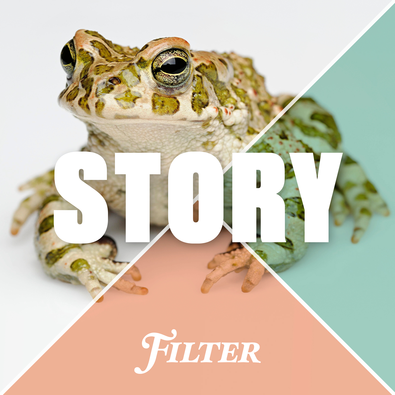 Vinjettbild till Story. En groda i bakgrunden.