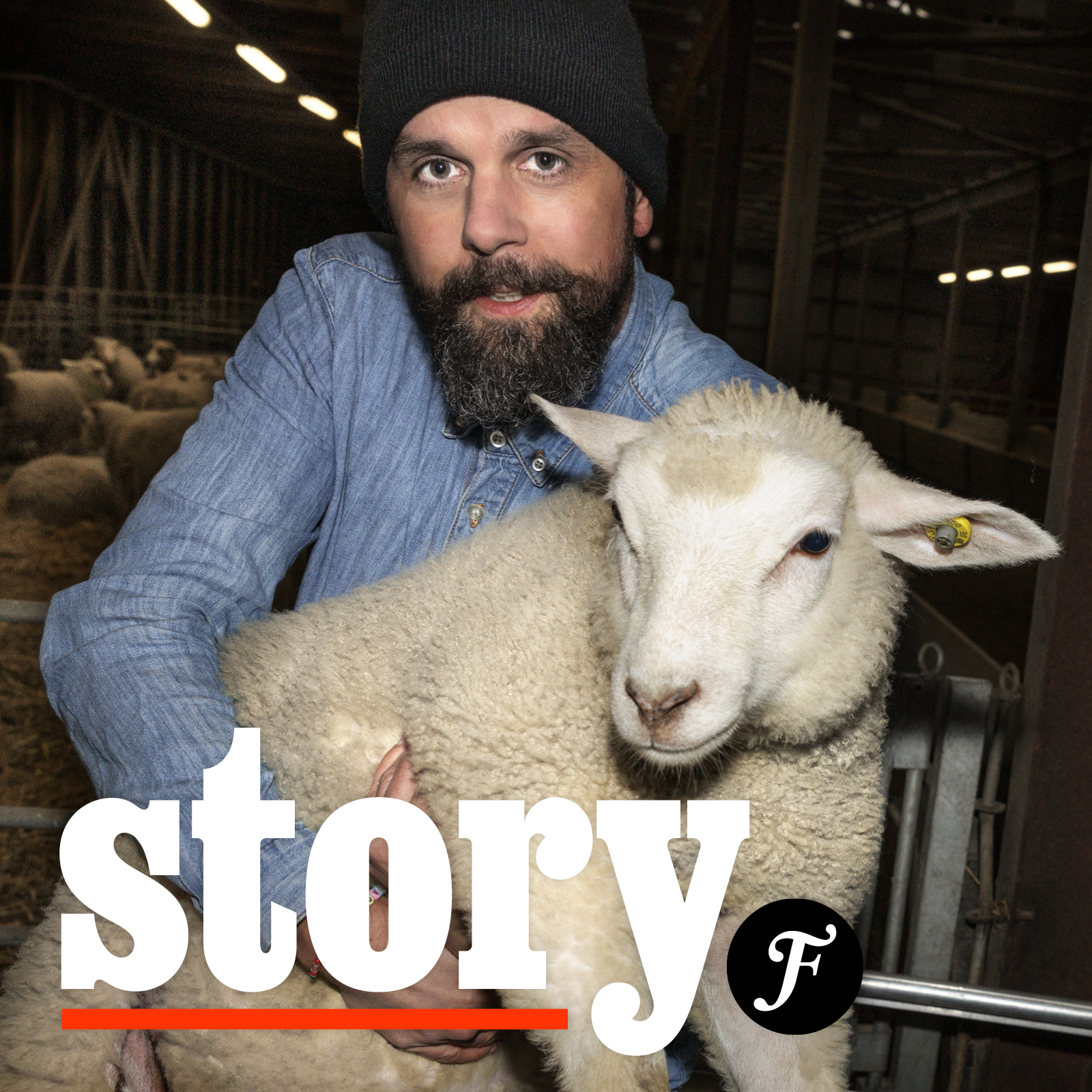 Vinjettbild för Story. I bakgrunden journalisten Andreas Jakobsson som bär ett får.